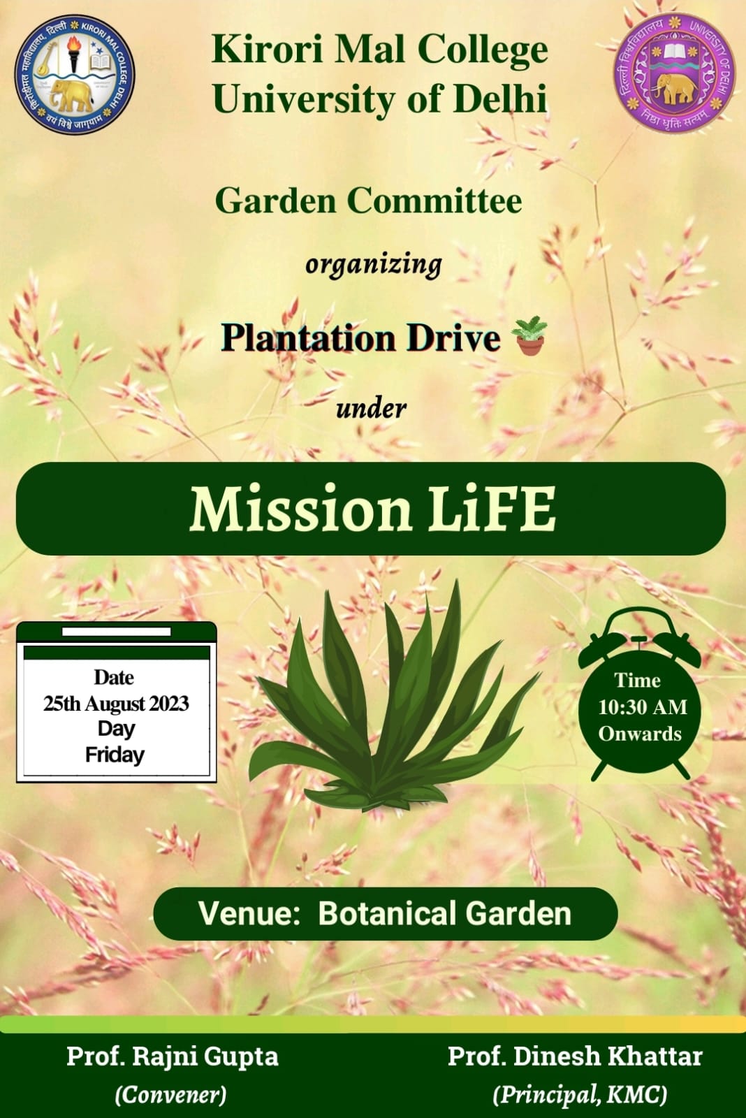 Plantation Drive