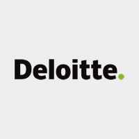 Placement partner